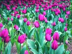 -长春公园(普阳街道)