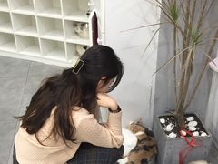 -极木²邸 人与宠物·互动社区