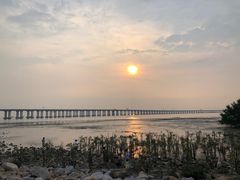 -宝安西湾红树林湿地公园