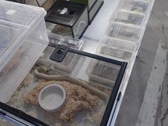 -华声天桥民俗文化园