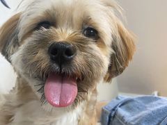 -萌兽医馆·宠物医院·猫骨科(创景店)