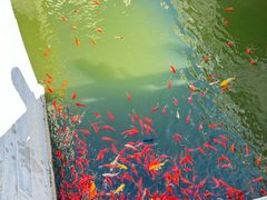 -北京市劳动人民文化宫(太庙)