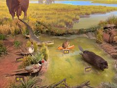 -陕西自然博物馆