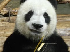 -海南热带野生动植物园