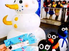 -世界之窗阿尔卑斯冰雪世界