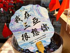 -三亚红色娘子军演艺公园景区