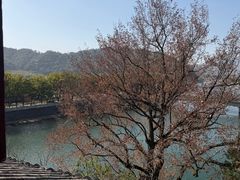 -蒋氏故居