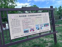 -赵州桥景区