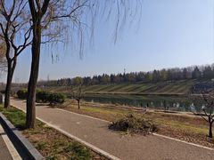 -洨河生态公园