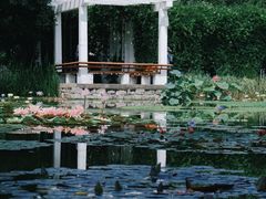 -国家植物园南园