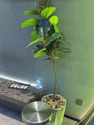 -不迫先生专业男士剪发