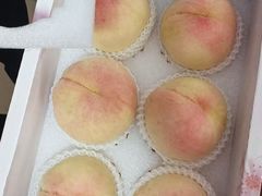 -老袁家蜜桃农场·阳山水蜜桃