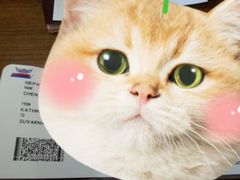 -曼谷素万那普国际机场