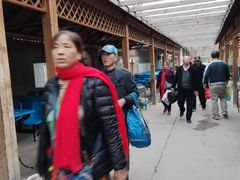 -亲兄弟真人CS团建拓展基地