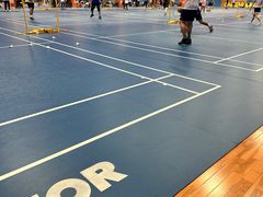 -东坡羽毛球馆(东坡南一路店)