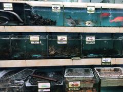 水产区-秋姐美食店(旅游大道店)