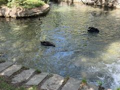 -水磨沟公园