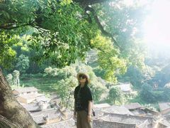 -杨家堂村
