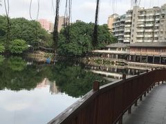 -荔湾湖公园