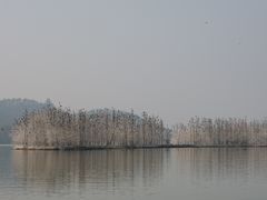 -东湖落雁景区