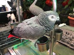 -無招牌海鮮(芽笼店)