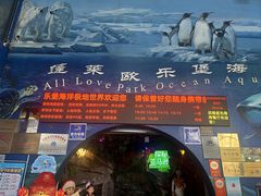 -蓬莱欧乐堡海洋极地世界
