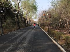 -长春市南湖公园