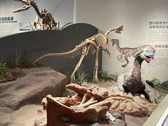 -自贡恐龙博物馆