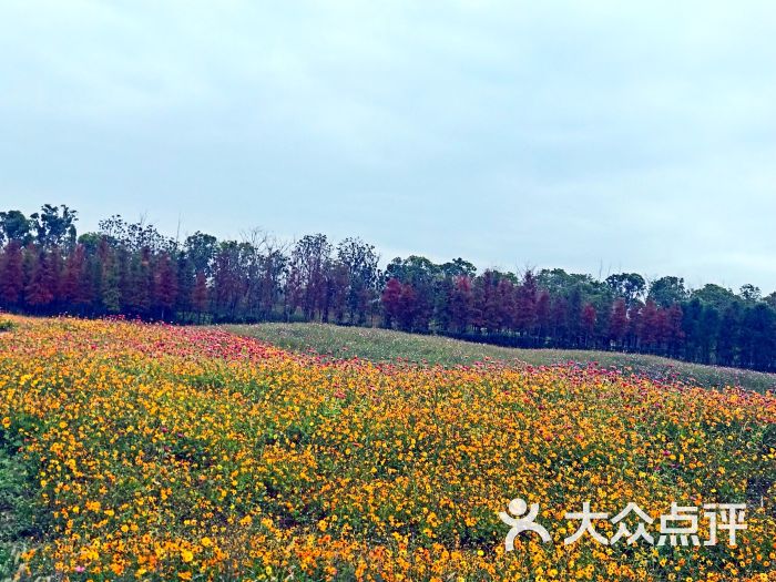 長興島郊野公園-圖片-崇明區周邊遊-大眾點評網