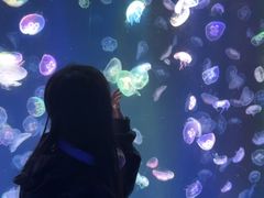 -海合安成都极地海洋公园