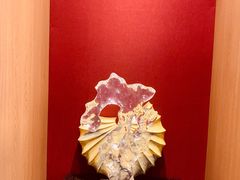 -碧海云天(川环南路店)