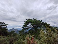 -含鄱口