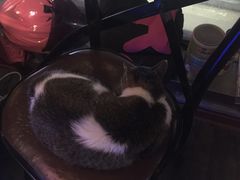 -质烤烤物·活烤海鲜(质烤总店)