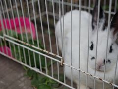 -大海别墅民宿农家院(十渡店)