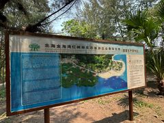 -北海金海湾红树林生态旅游区