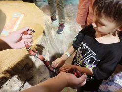 -酷嗒动物文化乐园(cutezoo西溪乐天城店)