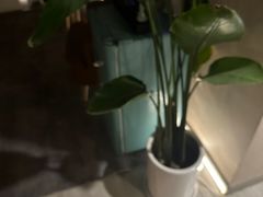 -Touché SPA精油按摩