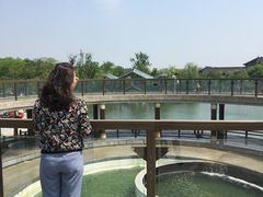 景点-茅山东方盐湖城景区