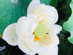 -黄兴公园