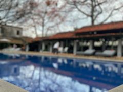 -喜洲吧·江畔老船厂·庭院餐厅(喜临院店)