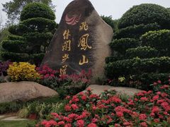 -飞凤山奥体公园