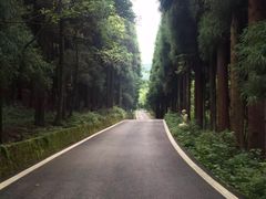 -武陵山森林公园