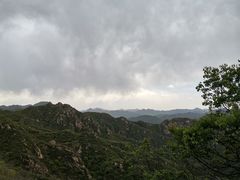 -大岭沟猕猴桃谷风景区