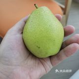 秋天来一个香梨吧[调皮]