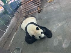 -无锡动物园·太湖欢乐园