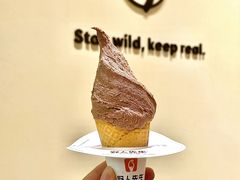 -野人先生Gelato(上海长宁龙之梦店)