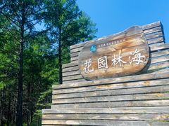 -莫尔道嘎国家森林公园