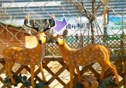 -萌宠亲子动物乐园(槐房万达店)