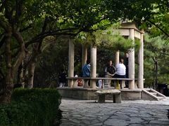 -团结湖公园