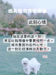 -浙江1+1主持人工作室